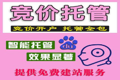 百度竞价托管运营在旅游行业的实战案例